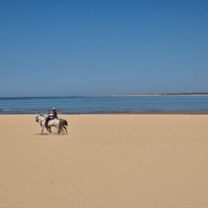 DUPLEX EN VENTA PRIMERA LINEA DE PLAYA